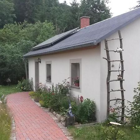 Pochebachhaeusl Villa Kurort Jonsdorf Dış mekan fotoğraf