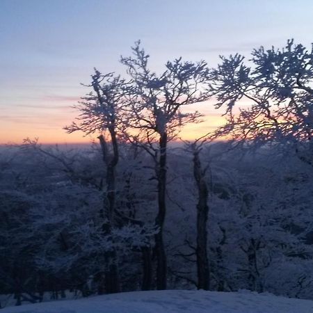 Pochebachhaeusl Villa Kurort Jonsdorf Dış mekan fotoğraf