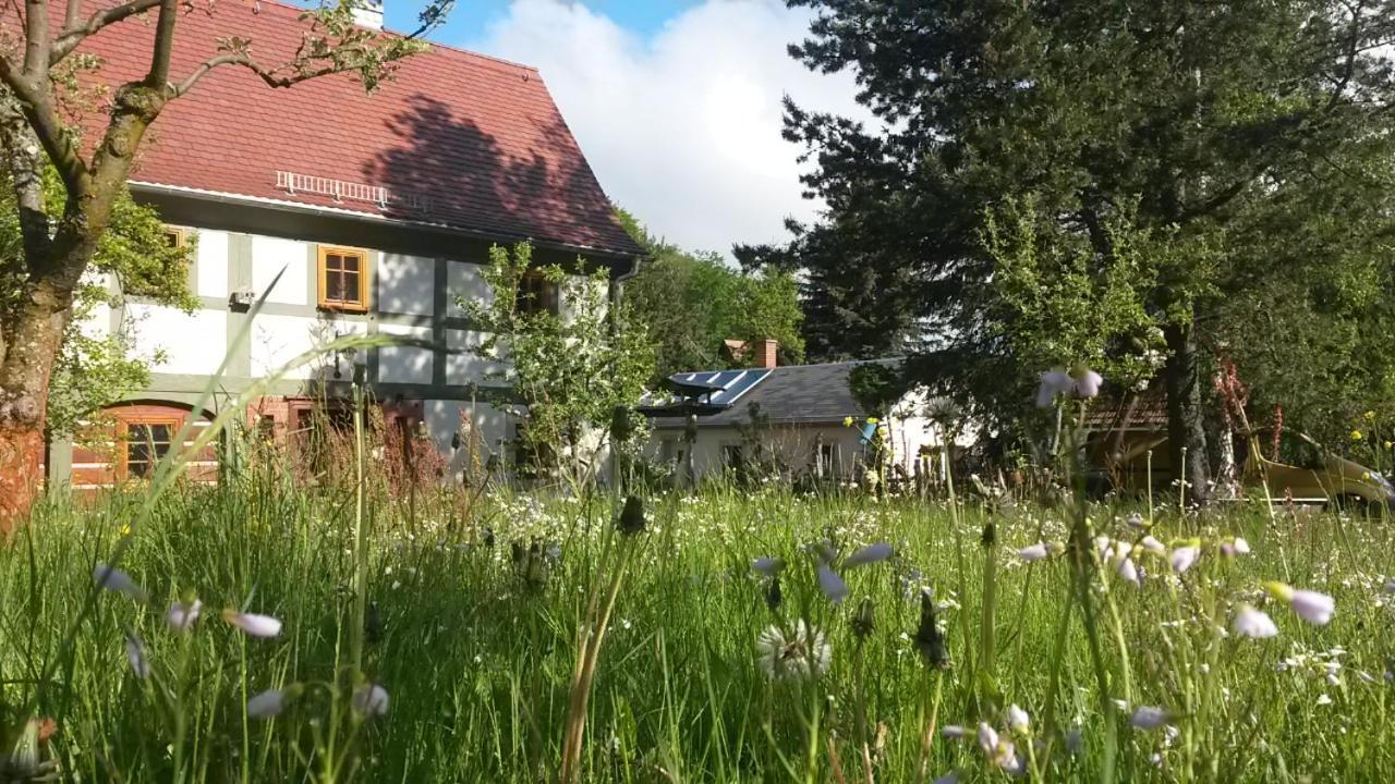 Pochebachhaeusl Villa Kurort Jonsdorf Dış mekan fotoğraf