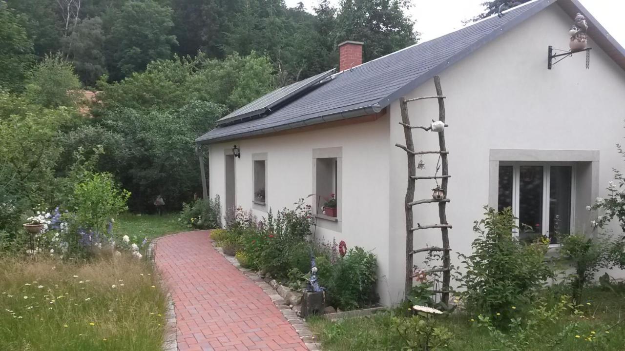 Pochebachhaeusl Villa Kurort Jonsdorf Dış mekan fotoğraf
