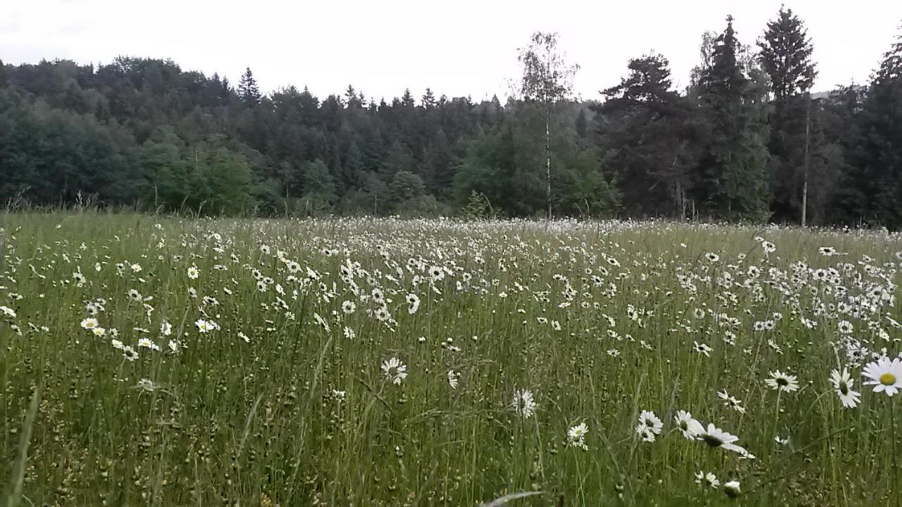 Pochebachhaeusl Villa Kurort Jonsdorf Dış mekan fotoğraf