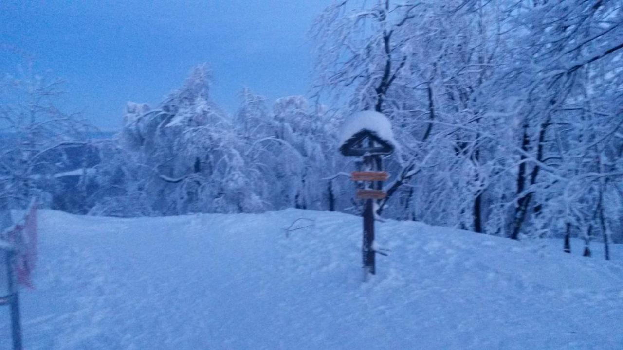 Pochebachhaeusl Villa Kurort Jonsdorf Dış mekan fotoğraf